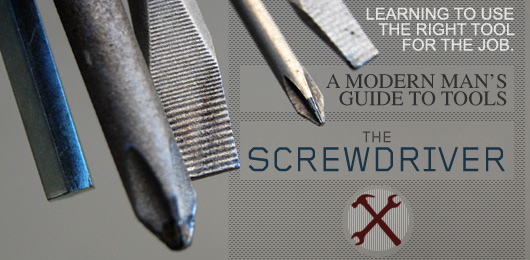 the screwdriver