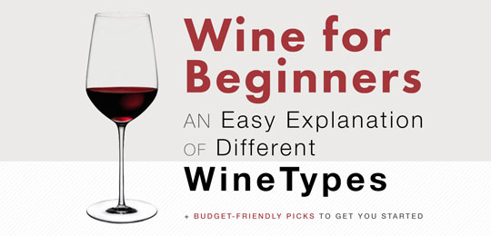 Wine for Beginners: An EASY Explanation of Different Wine Types