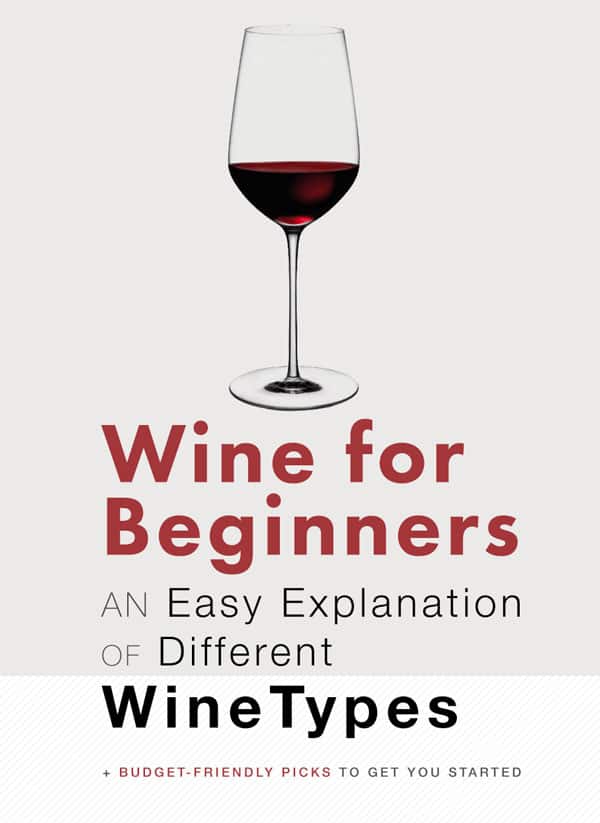 Wine for Beginners An Easy Explanation of Different Types of Wine