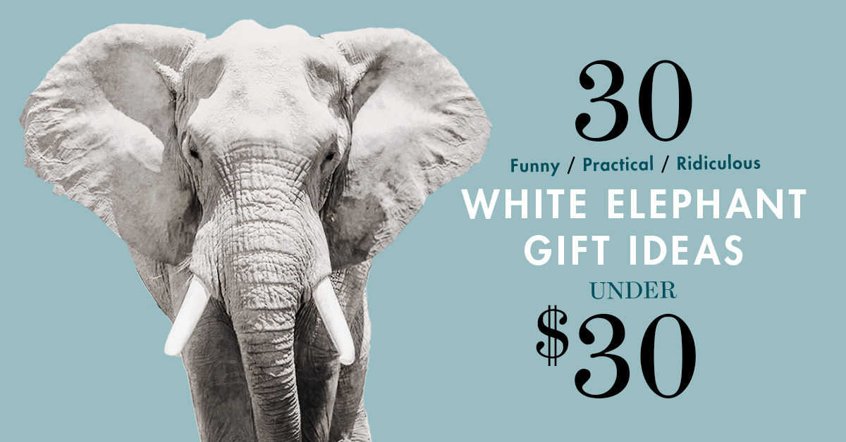 60 Best White Elephant Gifts Under $30 of 2023